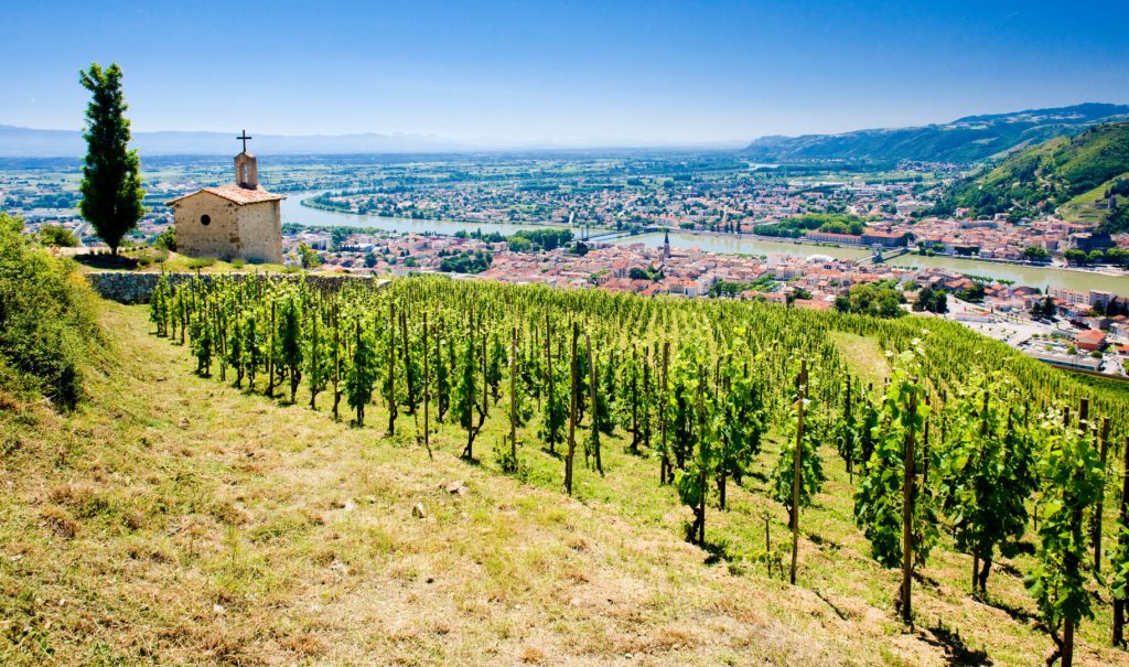 Comprendre la Vallée du Rhône en 5 minutes