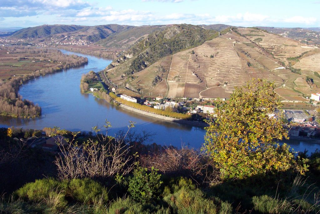 Comprendre la Vallée du Rhône en 5 minutes