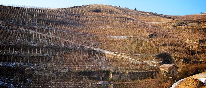 Automne en Hermitage