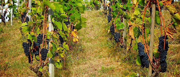 Hermitage fin septembre 2013 : bientôt prêt !
