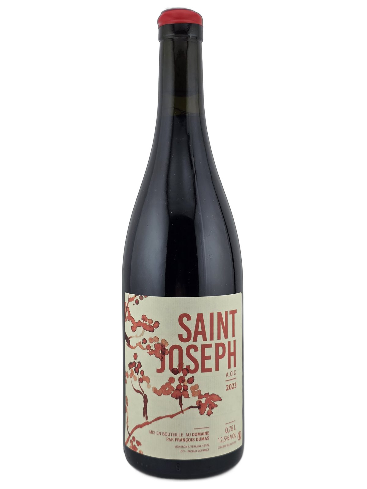 Saint Joseph 2023 François Dumas