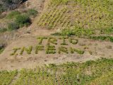 Entre grenaches et carignans une plantation signe le domaine, comme Jean-Michel Gérin l'a fait à Ampuis : Trio Infernal !