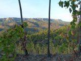 Du sommet la vue vers le nord est splendide, avec une barrière rocheuse qui ferme naturellement la région du Priorat