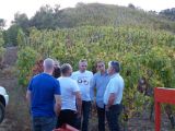 La dernière étape se fera à pied, c'est la partie consacrée à la syrah avec une exposition nord et un peu plus en hauteur