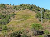 La vue est magnifique, notamment sur ce coteau où notre trio a planté différents cépages : grenache en bas, carignan au centre, et syrah tout en haut