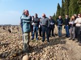 Première étape : La Crau. Georges Truc, géologue en retraite et passionné de vin, nous explique la création de ce terroir bien particulier. J'avais déjà eu le plasir de faire une visite des côteaux de Cornas avec lui, il y a quelques années.