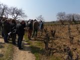 Formation géologique du sol, influence sur la culture de la vigne, choix des parcelles pour les assemblages : tout l'auditoire écoute les explications passionnantes du géologue qui nous guide.