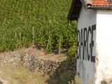 Une cabane à outils mais plus au Combard. Un petit passage en Côte Brune mais c'est une autre histoire... Bonnes vendanges à Julien et aux vignerons de Côte rôtie, qui ont vraiment du mérite !