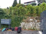 Maintenant en zone urbaine, il est rare de voir des boites aux lettres devant une vigne